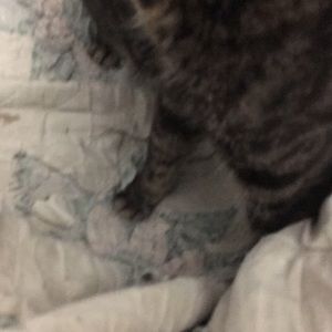 Meet your Posher, Georgia